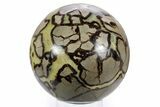 Huge, Polished Septarian Sphere ( lbs) - Madagascar #361329-1